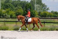 Robin 2013